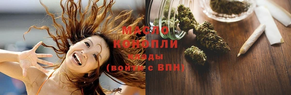 индика Горнозаводск