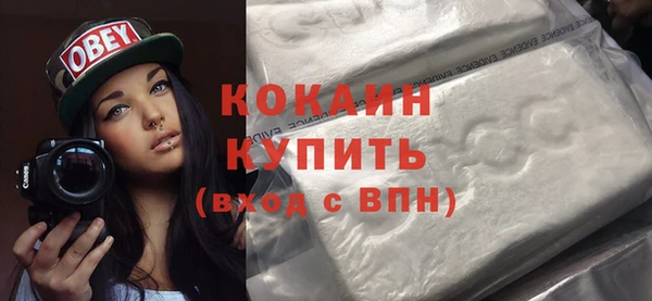 индика Горнозаводск