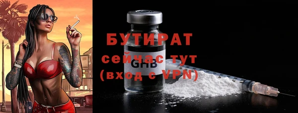индика Горнозаводск