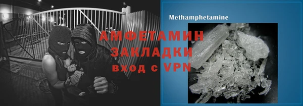 индика Горнозаводск