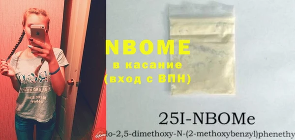 индика Горнозаводск
