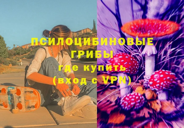 индика Горнозаводск