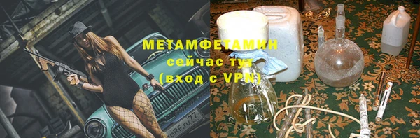 индика Горнозаводск