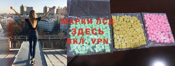 индика Горнозаводск