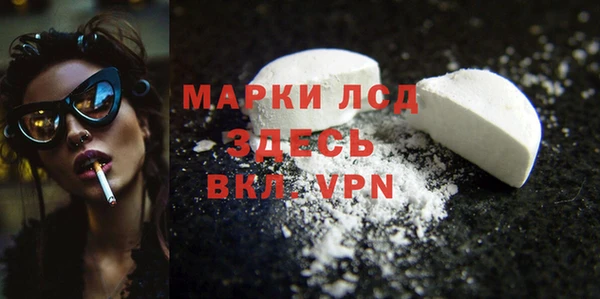 индика Горнозаводск