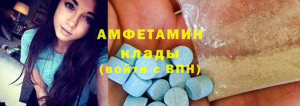индика Горнозаводск