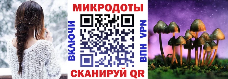 blacksprut ссылка  Меленки  Псилоцибиновые грибы Psilocybe 